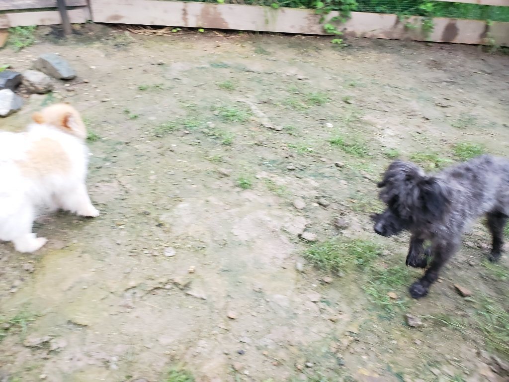 f:id:roukenhome-ann:20190830215459j:plain
