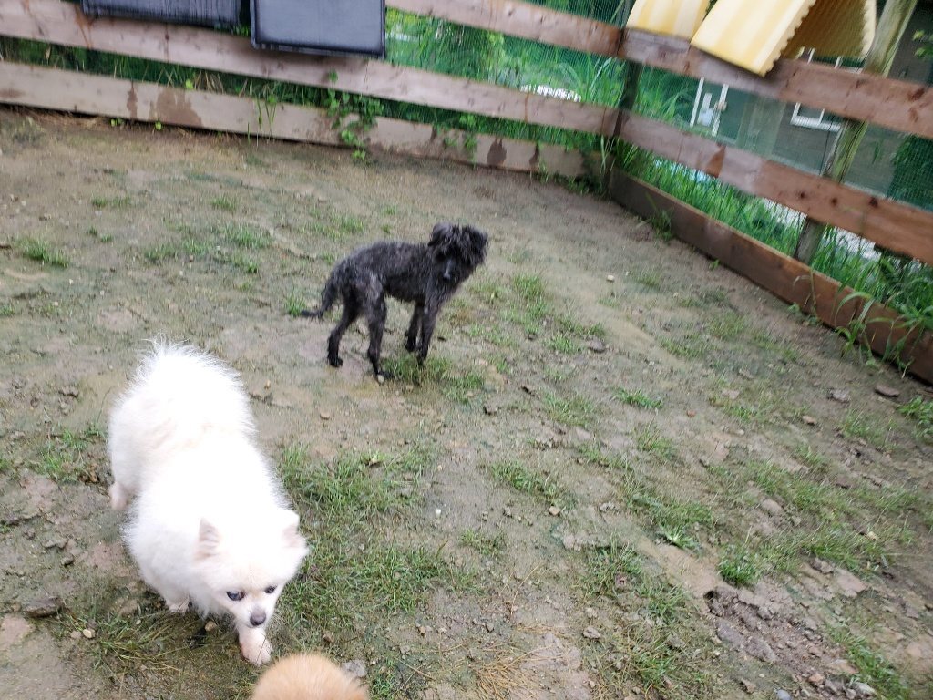 f:id:roukenhome-ann:20190830215652j:plain