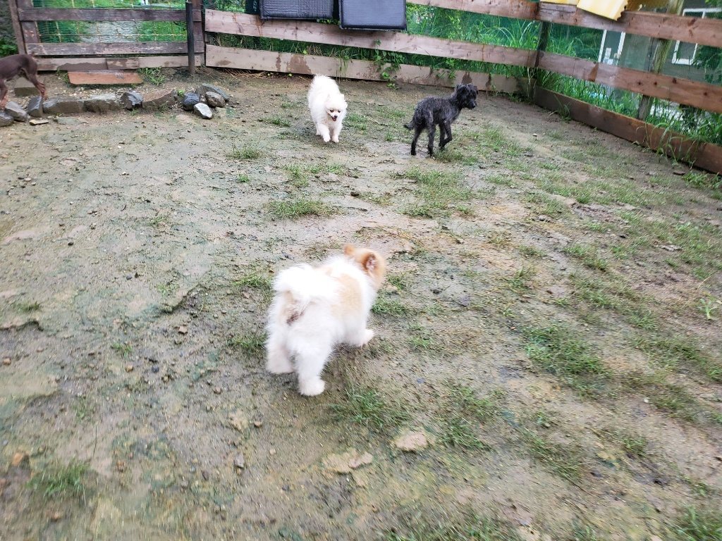 f:id:roukenhome-ann:20190830215716j:plain