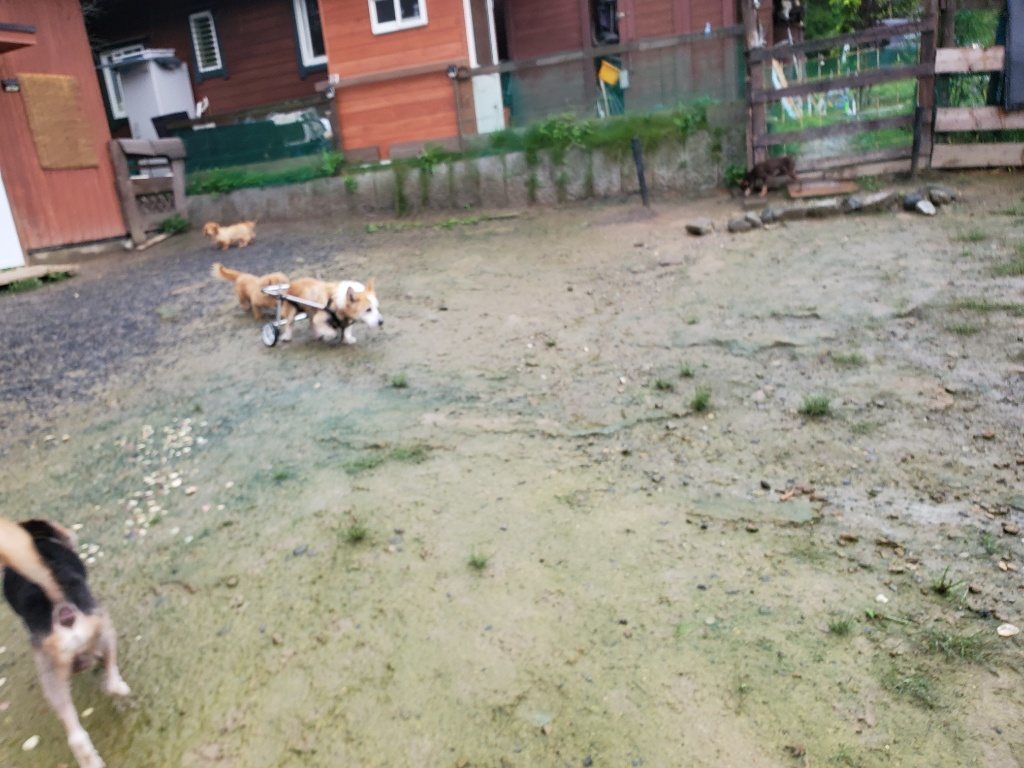 f:id:roukenhome-ann:20190830215749j:plain