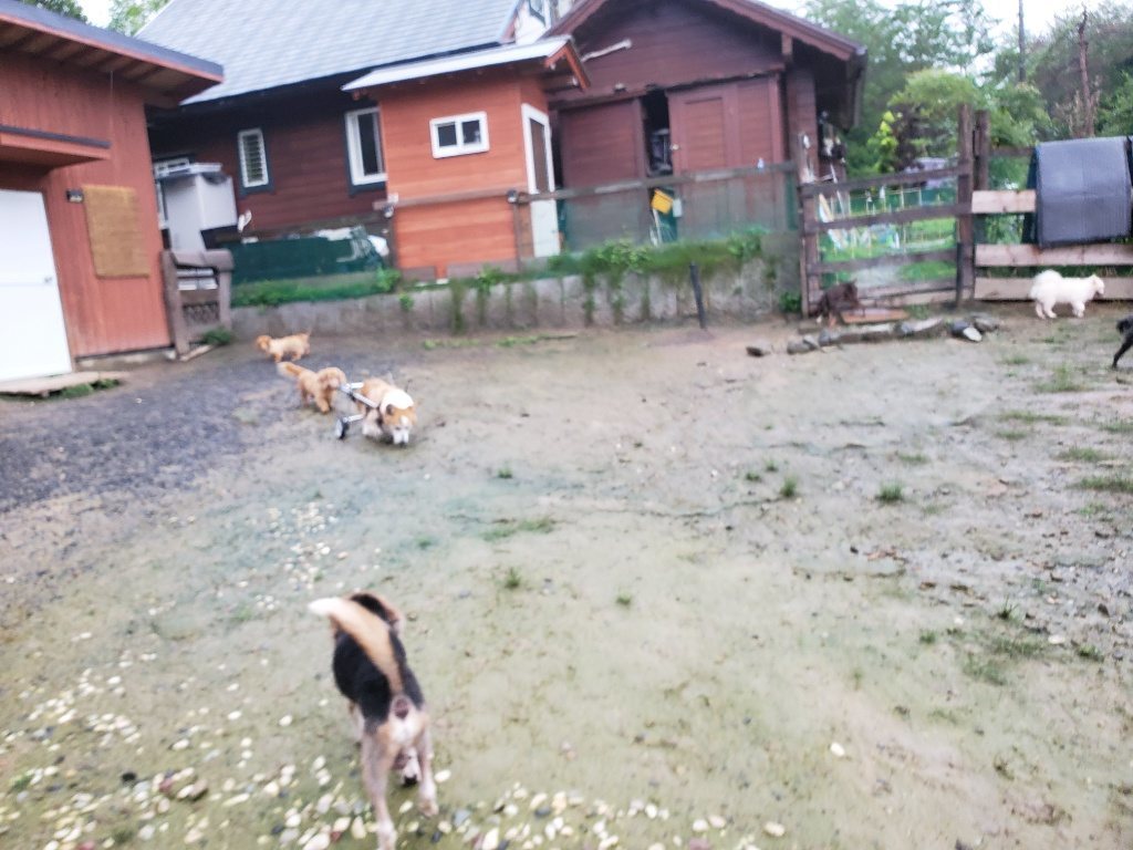 f:id:roukenhome-ann:20190830215756j:plain