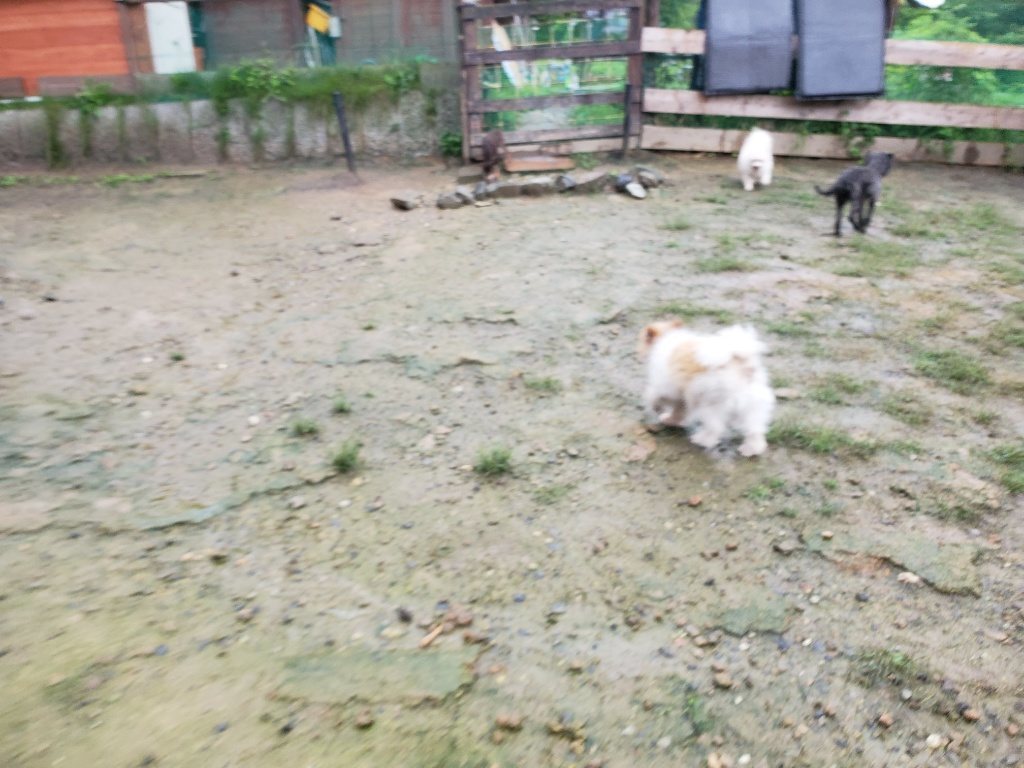 f:id:roukenhome-ann:20190830215807j:plain
