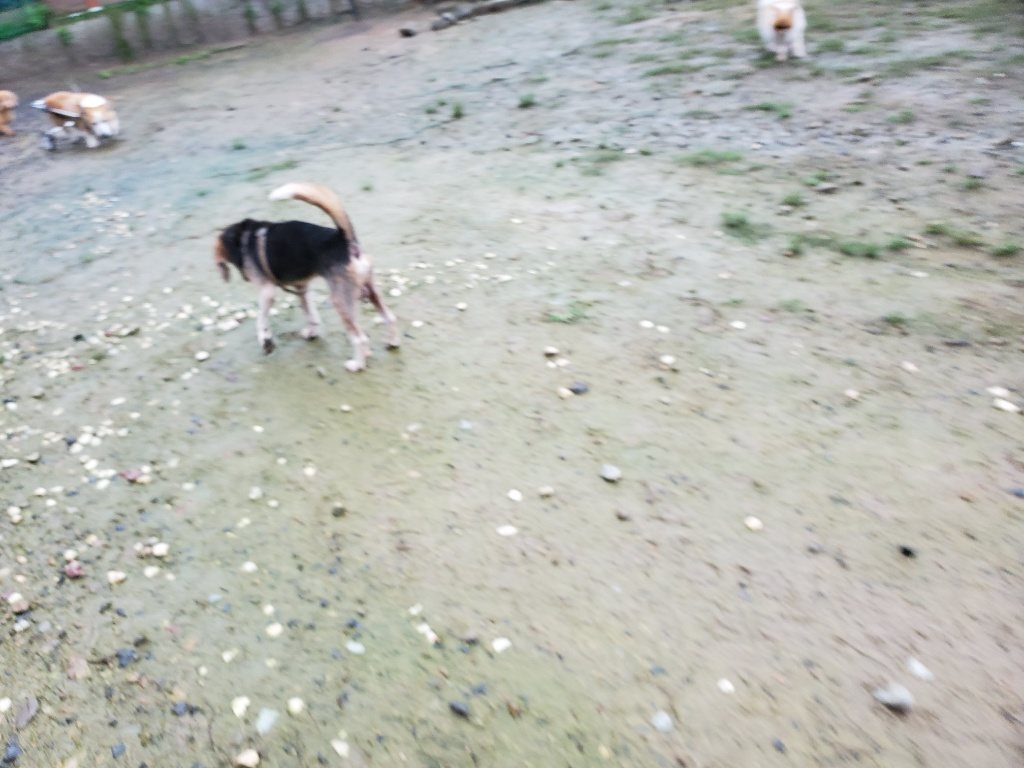 f:id:roukenhome-ann:20190830215814j:plain