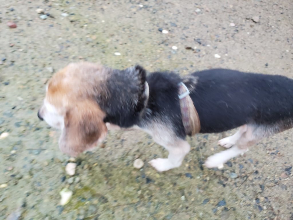 f:id:roukenhome-ann:20190830220624j:plain