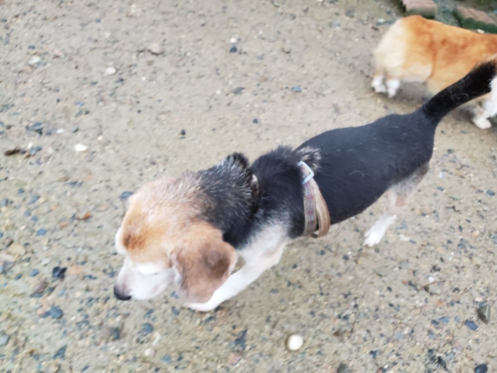 f:id:roukenhome-ann:20190830220642j:plain