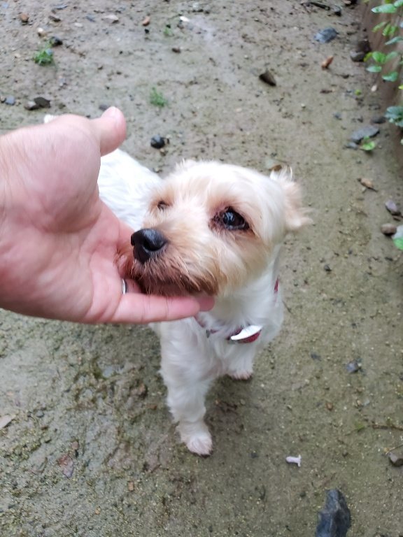 f:id:roukenhome-ann:20190830220731j:plain