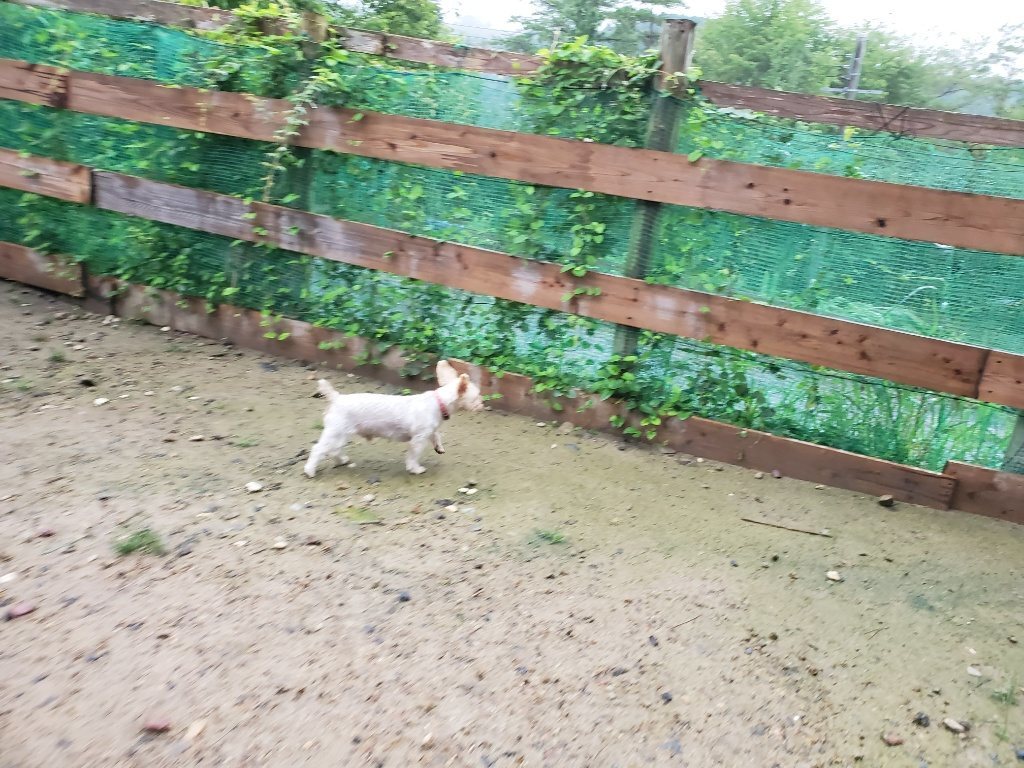 f:id:roukenhome-ann:20190830220821j:plain