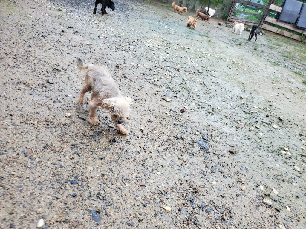 f:id:roukenhome-ann:20190830220913j:plain
