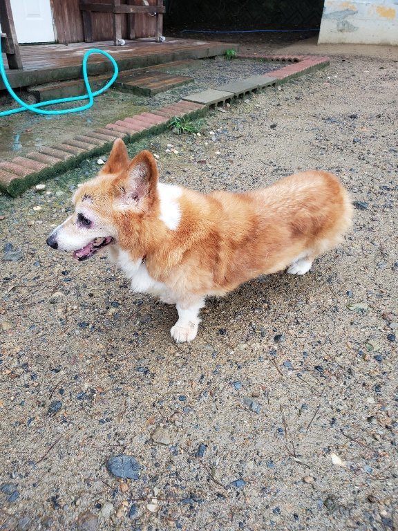 f:id:roukenhome-ann:20190830220920j:plain