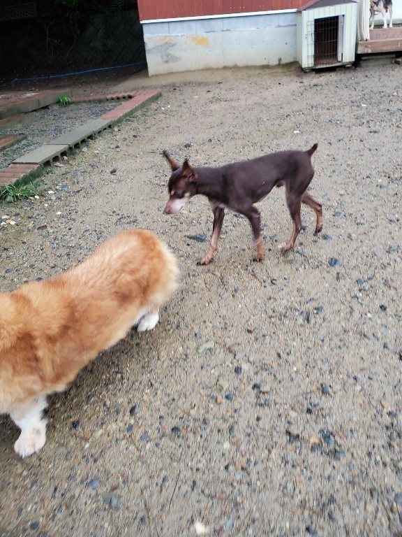 f:id:roukenhome-ann:20190830220926j:plain