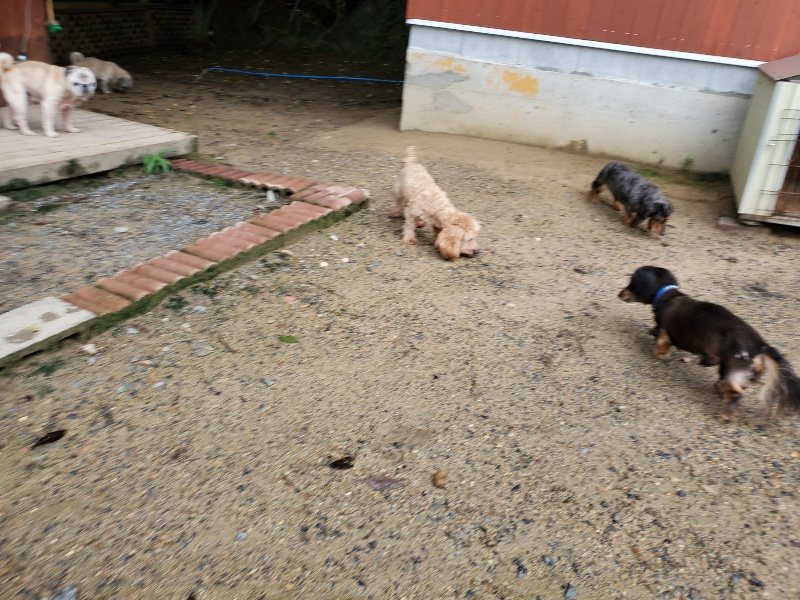 f:id:roukenhome-ann:20190831073425j:plain
