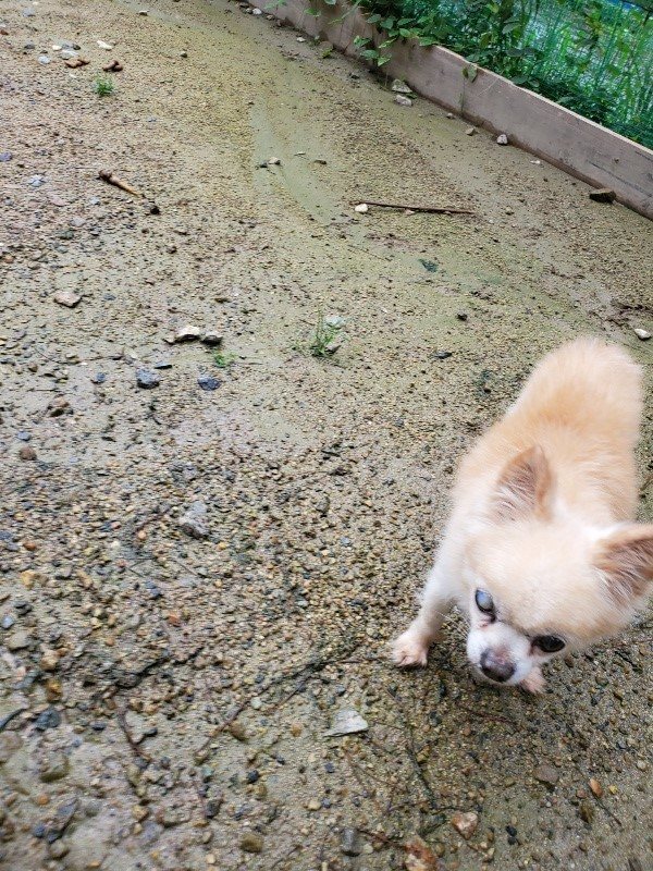f:id:roukenhome-ann:20190831073439j:plain