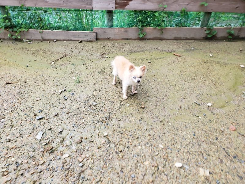 f:id:roukenhome-ann:20190831073450j:plain