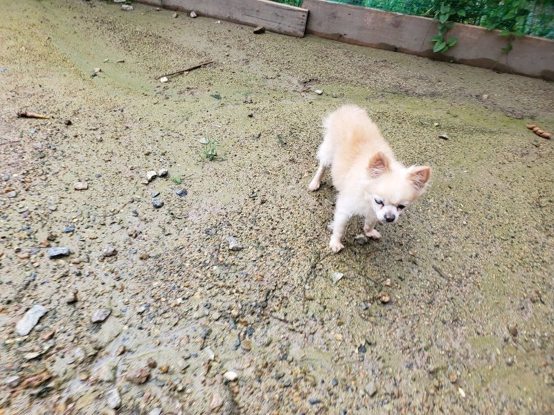 f:id:roukenhome-ann:20190831073457j:plain