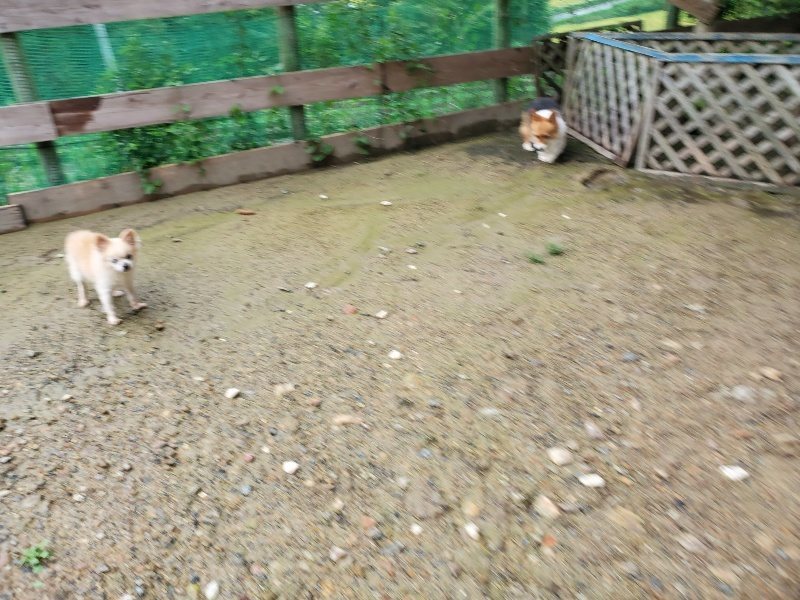 f:id:roukenhome-ann:20190831073501j:plain