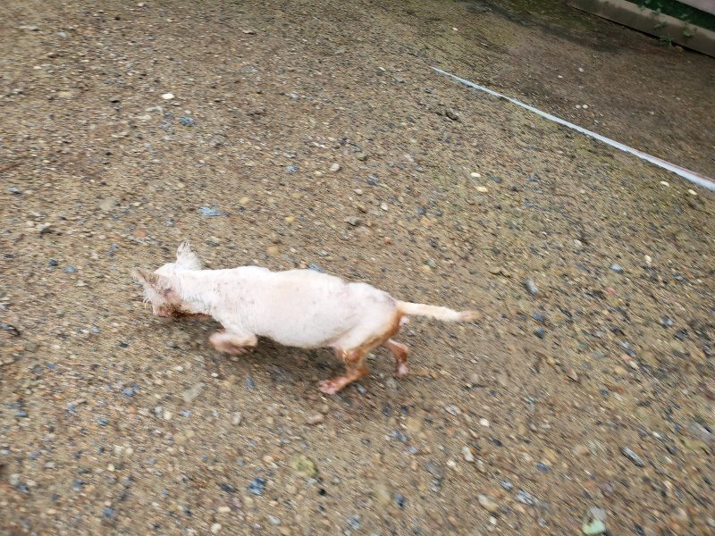 f:id:roukenhome-ann:20190831073508j:plain