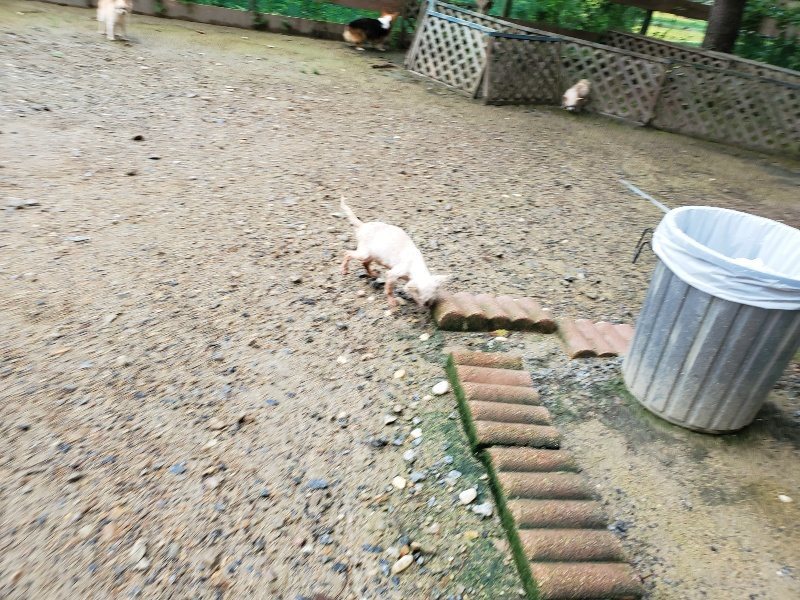 f:id:roukenhome-ann:20190831073530j:plain
