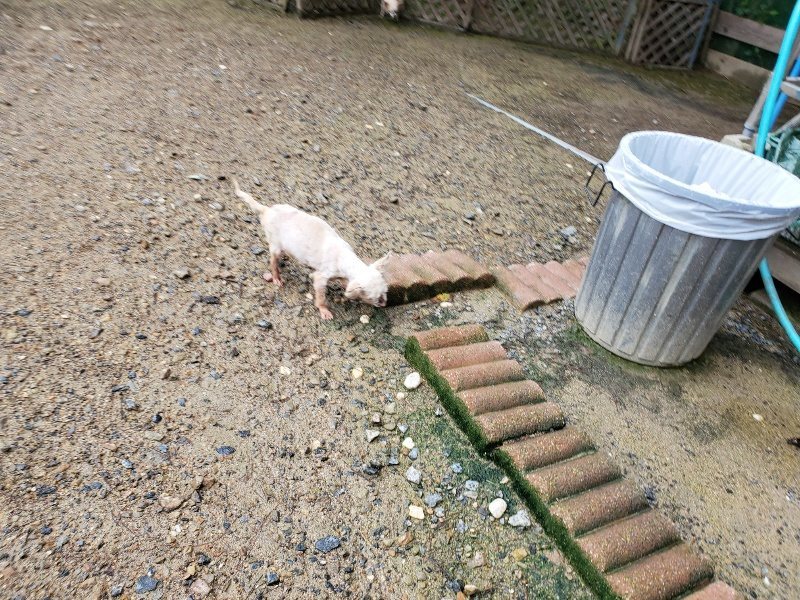 f:id:roukenhome-ann:20190831073537j:plain