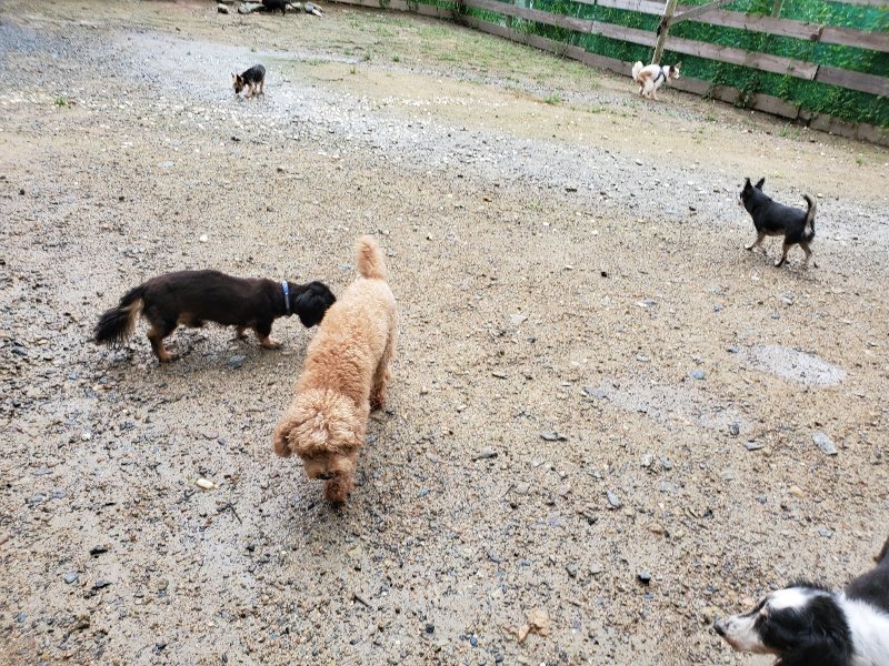 f:id:roukenhome-ann:20190831073543j:plain