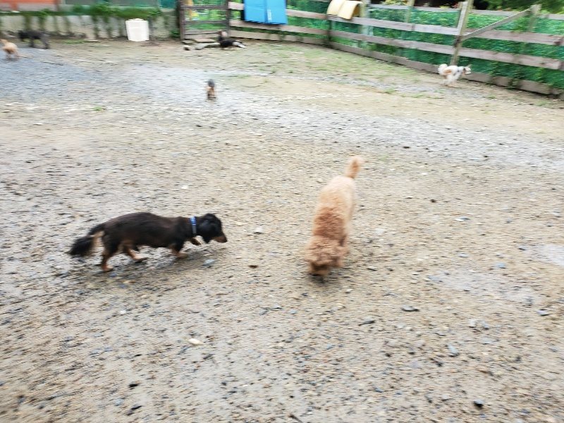 f:id:roukenhome-ann:20190831073551j:plain