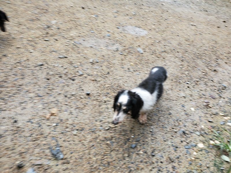 f:id:roukenhome-ann:20190831073558j:plain