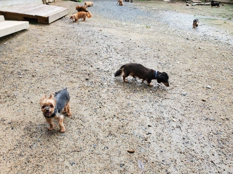 f:id:roukenhome-ann:20190831073605j:plain