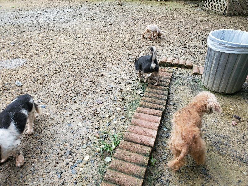 f:id:roukenhome-ann:20190831073611j:plain
