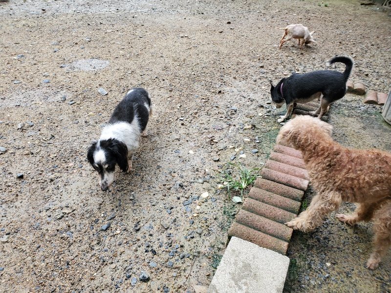 f:id:roukenhome-ann:20190831073621j:plain