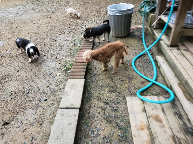 f:id:roukenhome-ann:20190831073629j:plain