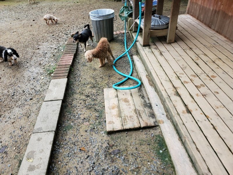 f:id:roukenhome-ann:20190831073634j:plain