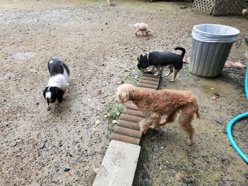 f:id:roukenhome-ann:20190831073642j:plain