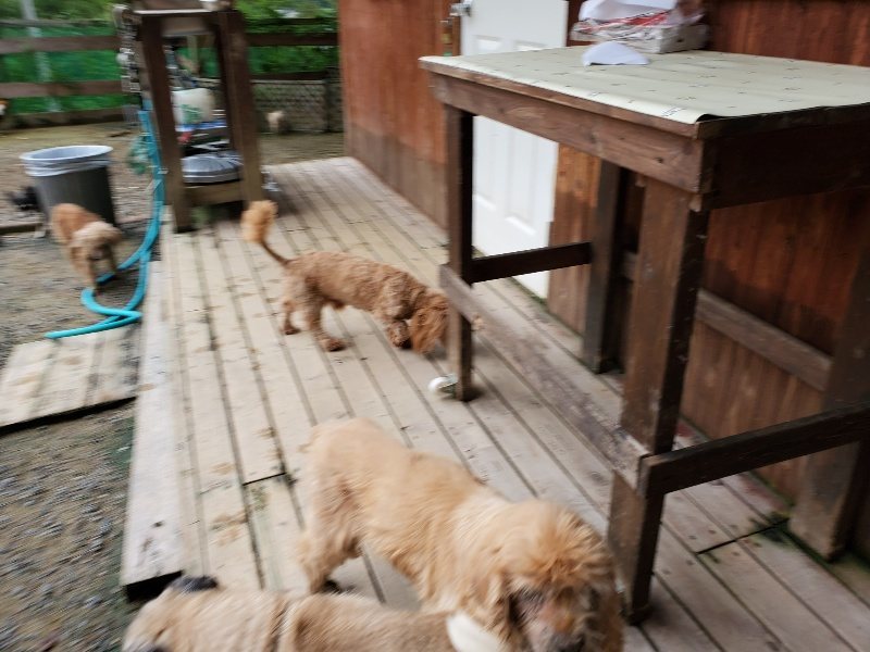 f:id:roukenhome-ann:20190831073648j:plain
