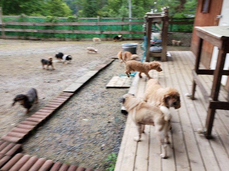 f:id:roukenhome-ann:20190831073653j:plain