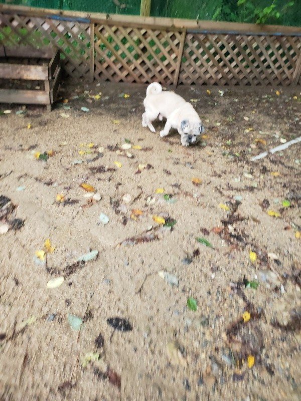 f:id:roukenhome-ann:20190831073709j:plain