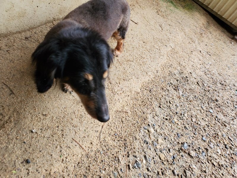 f:id:roukenhome-ann:20190831073721j:plain