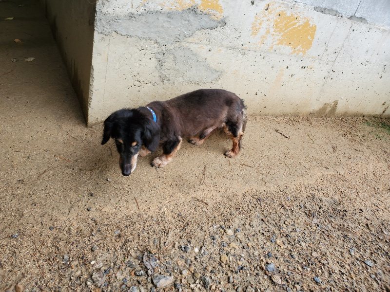 f:id:roukenhome-ann:20190831073728j:plain