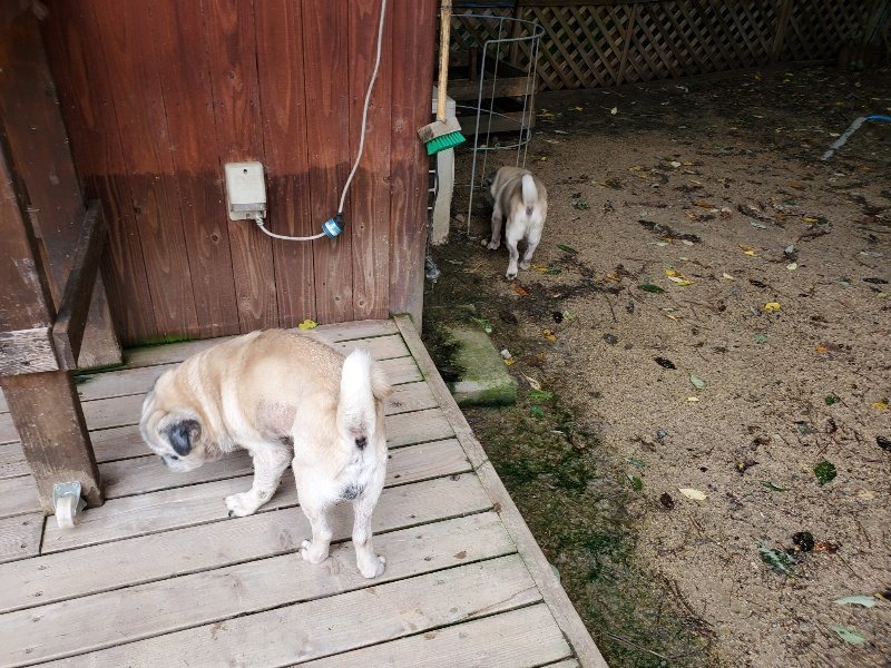 f:id:roukenhome-ann:20190831073742j:plain