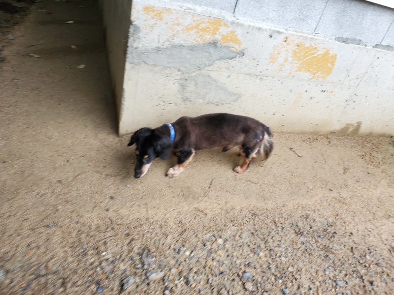 f:id:roukenhome-ann:20190831073749j:plain