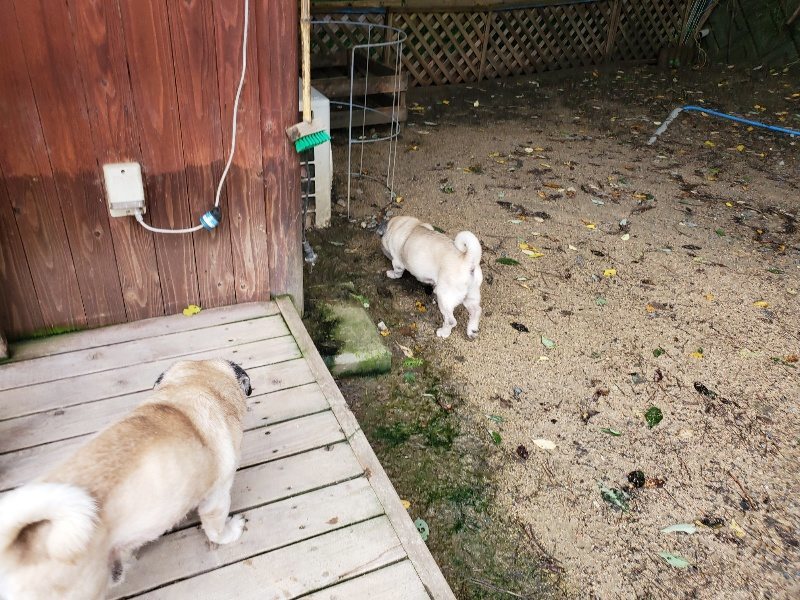 f:id:roukenhome-ann:20190831073757j:plain