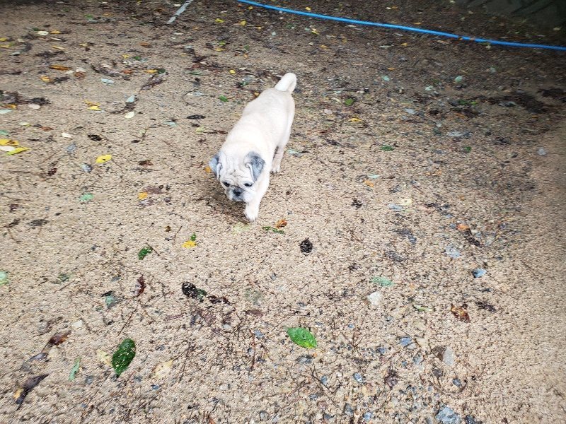 f:id:roukenhome-ann:20190831073813j:plain
