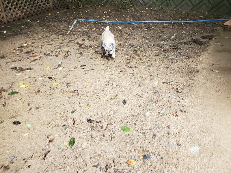 f:id:roukenhome-ann:20190831073818j:plain