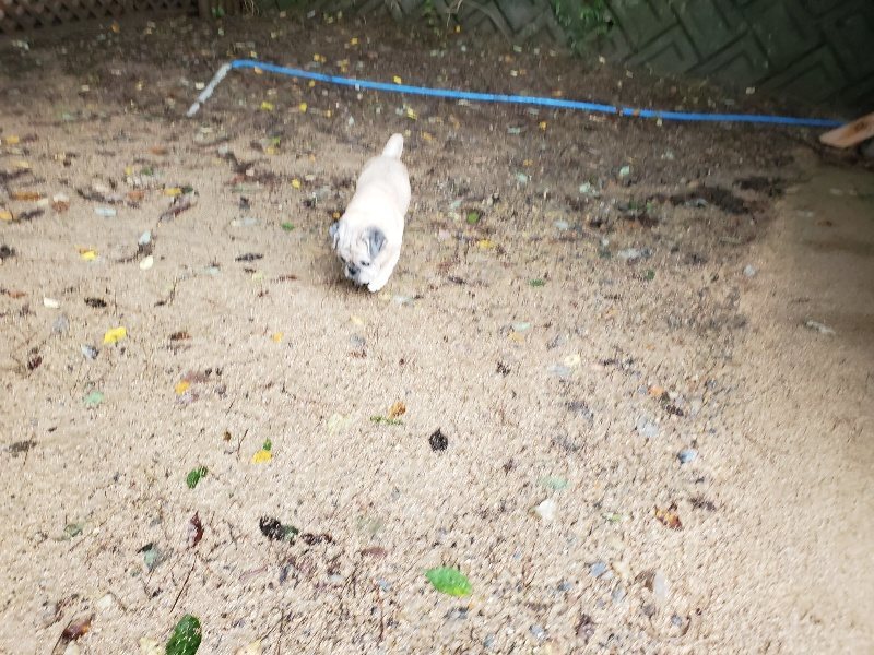 f:id:roukenhome-ann:20190831073830j:plain