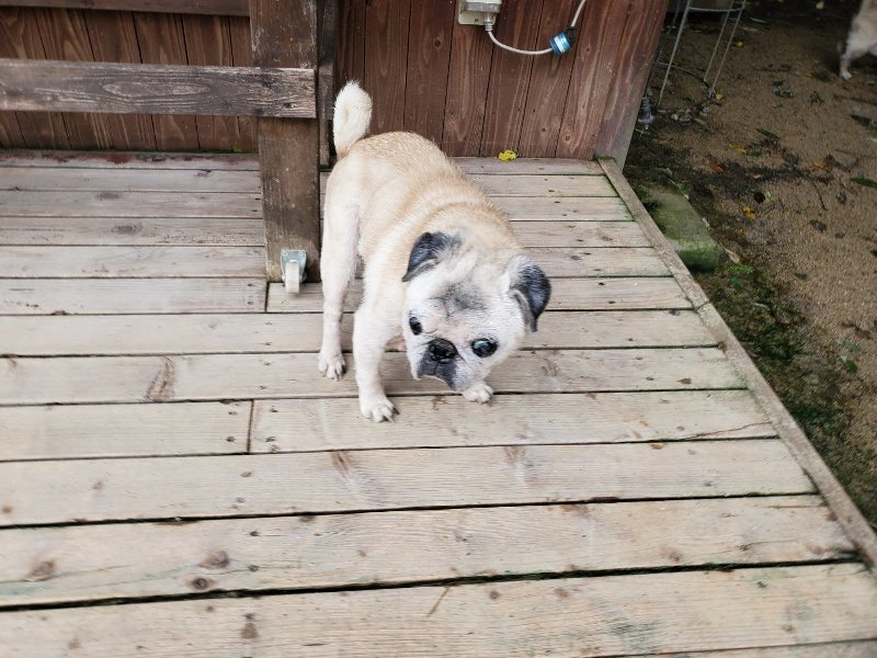 f:id:roukenhome-ann:20190831073841j:plain