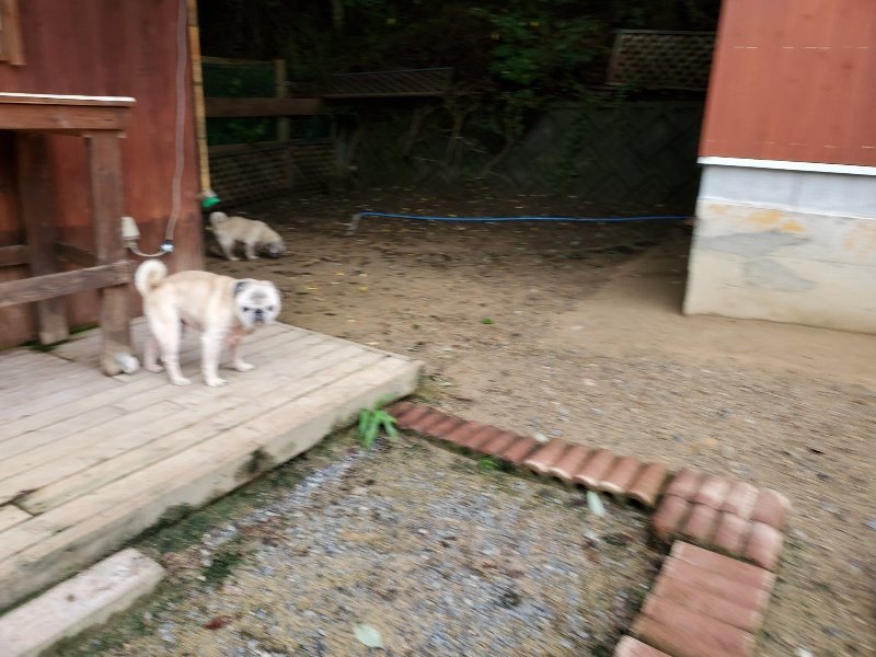 f:id:roukenhome-ann:20190831073846j:plain