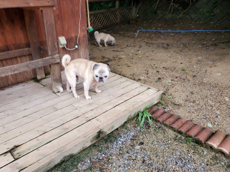 f:id:roukenhome-ann:20190831073859j:plain