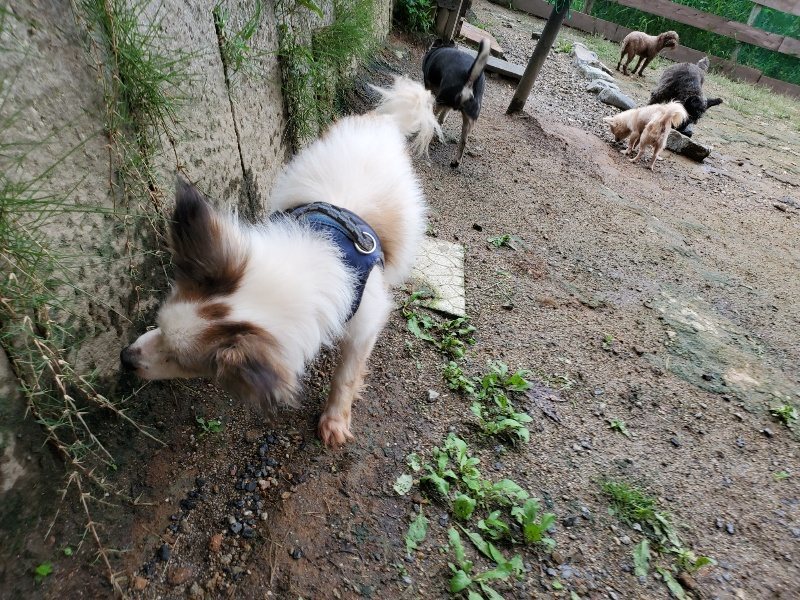f:id:roukenhome-ann:20190831074213j:plain