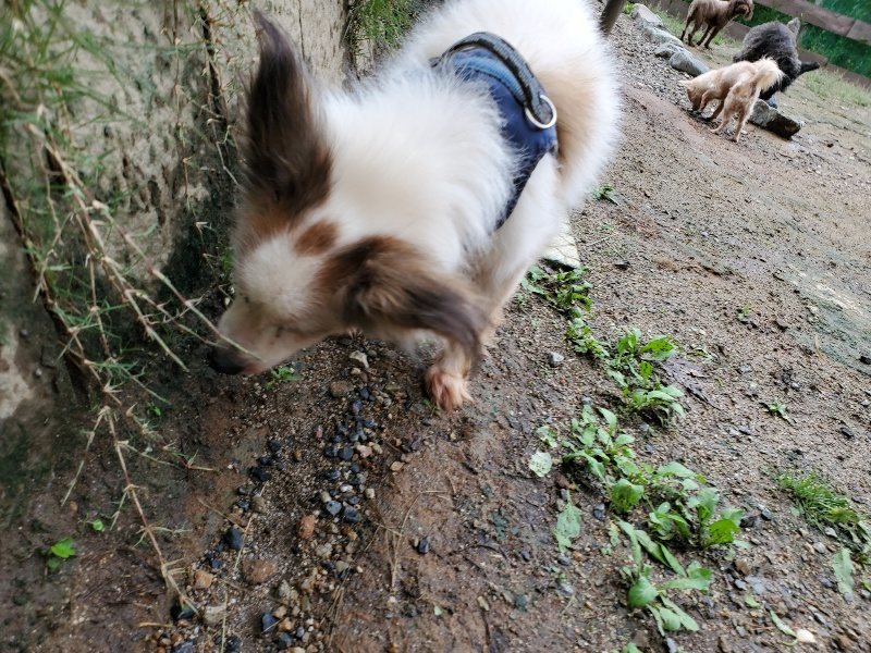 f:id:roukenhome-ann:20190831074219j:plain