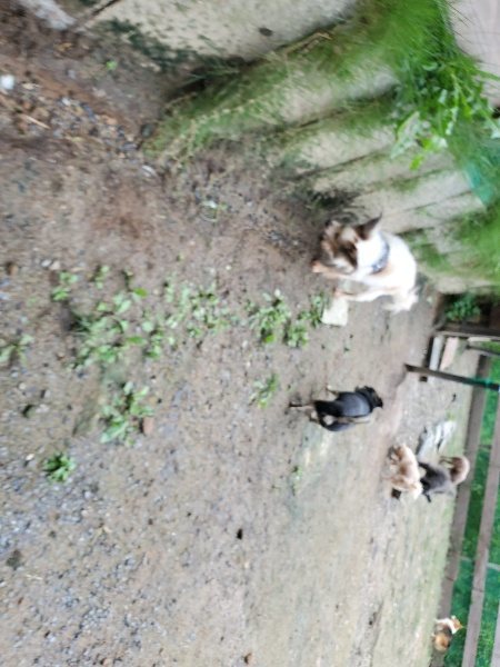 f:id:roukenhome-ann:20190831074224j:plain