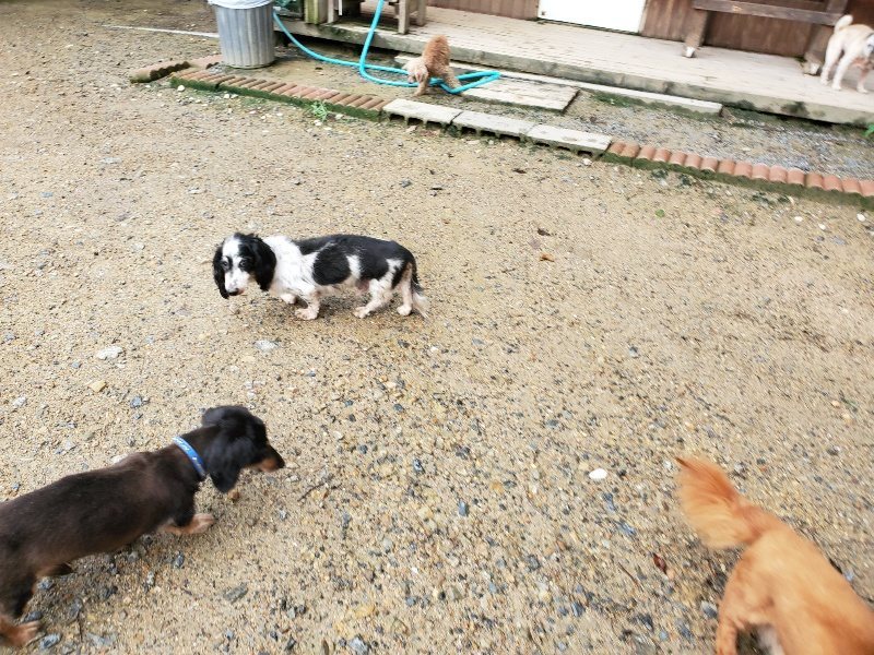 f:id:roukenhome-ann:20190831074256j:plain