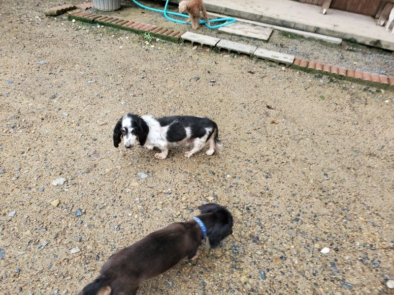 f:id:roukenhome-ann:20190831074303j:plain